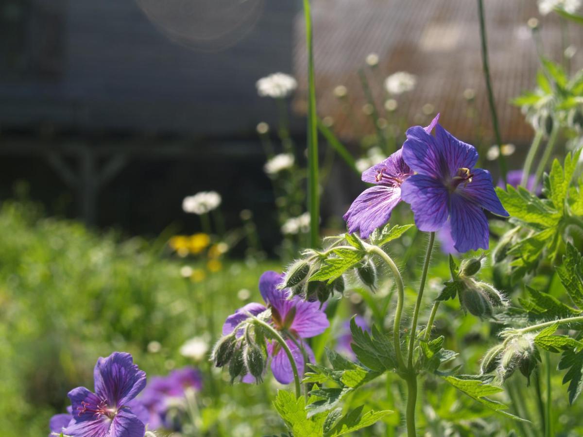 Le Val La Feculerie Bed & Breakfast エクステリア 写真